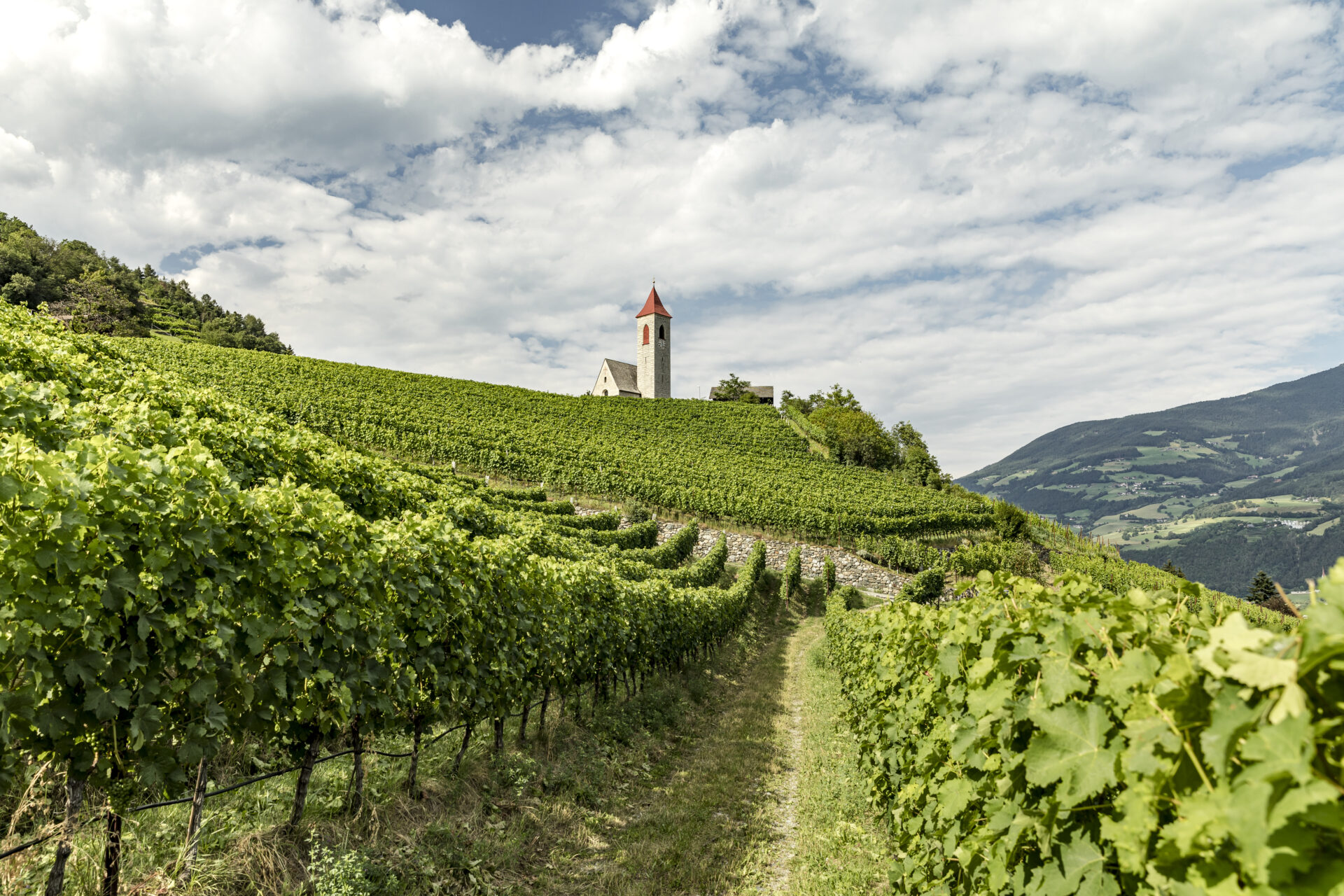 Tschötsch
Wein Südtirol